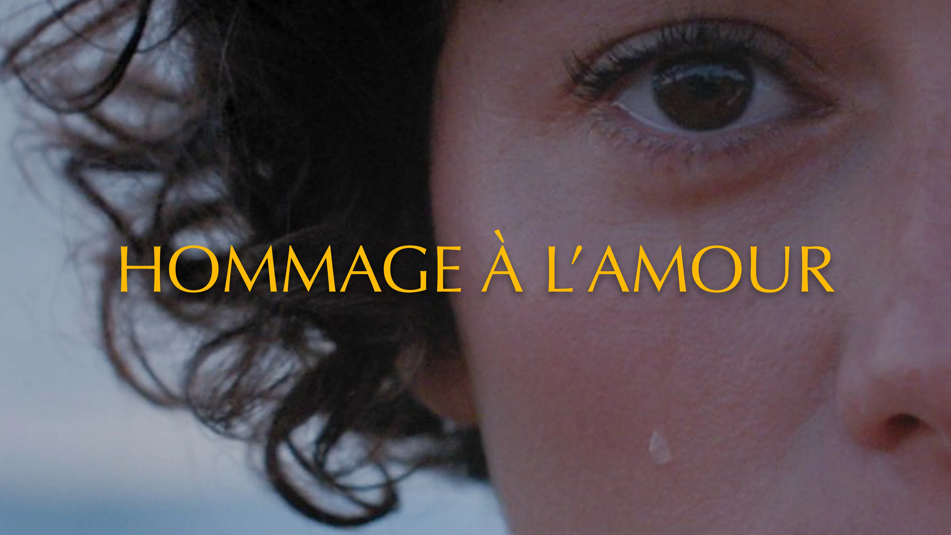 Hommage À L'amour poster